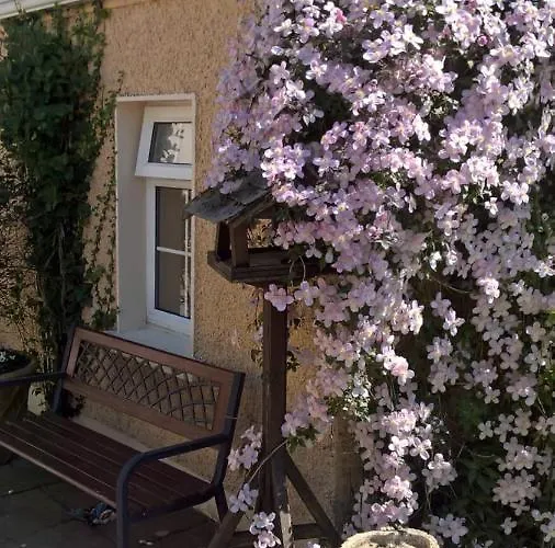 Annalee House Отель типа 